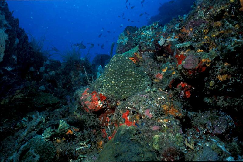 DELGRES_DIVERS_2.JPG