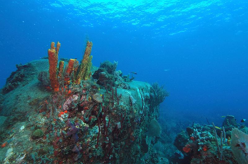 Le_phare_fevrier_2007_J.jpg