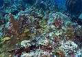 ROCROY_nov2007_08