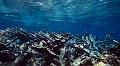 pterre_16