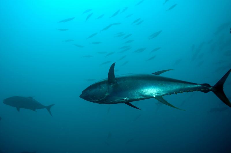 COSTARICA_ilecoco_102009_237.jpg