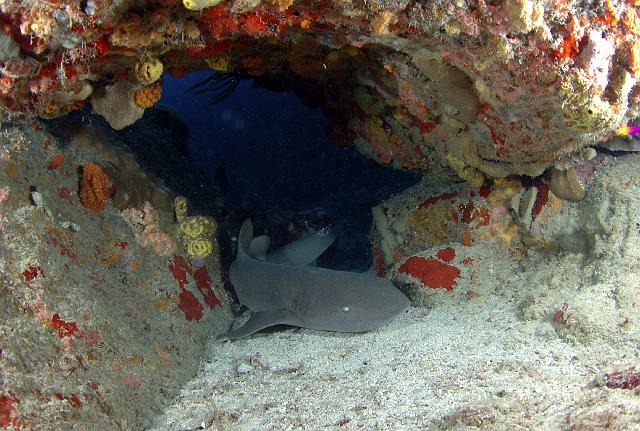 St_Barthelemy_26.jpg
